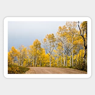 Aspens Sticker